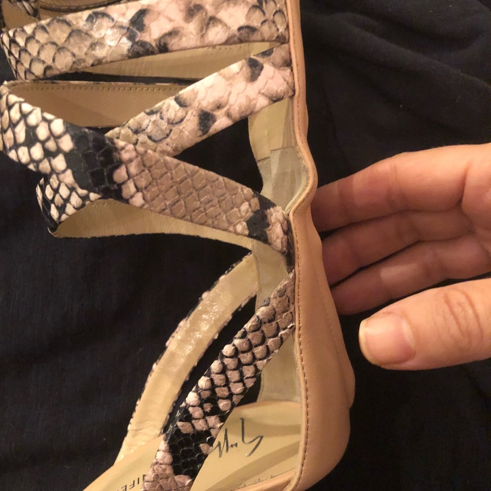 Python gysupie gladiator heels. - Picture 5 of 6